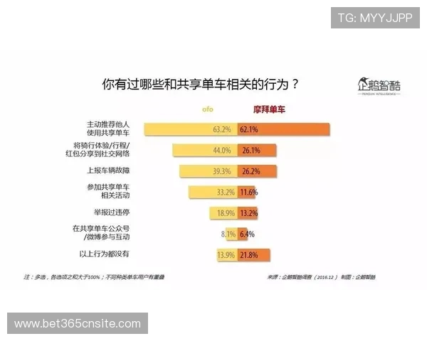 开云中国官网优化的用户体验及网站安全措施详细解读