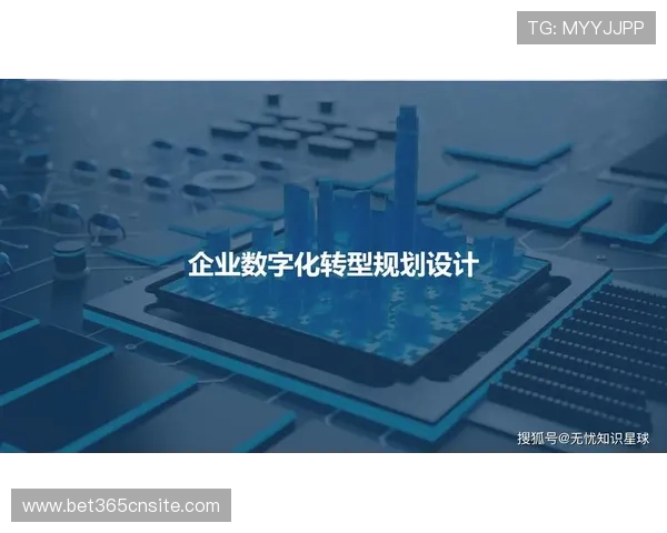 365电子助力企业数字化转型，推动行业智能化升级