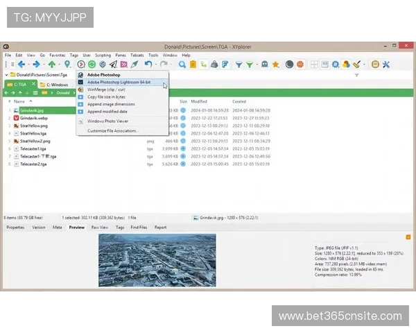如何快速访问365日博官网地址，详细步骤帮你轻松找到官方入口