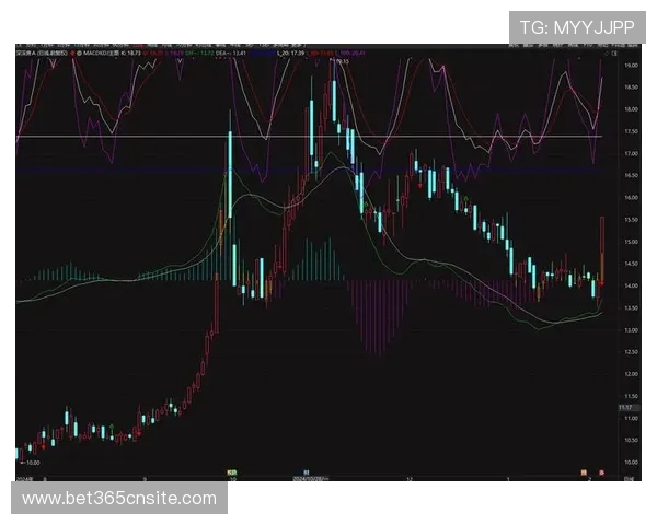 365日博投注专家经验分享，帮助你做出更明智的决策
