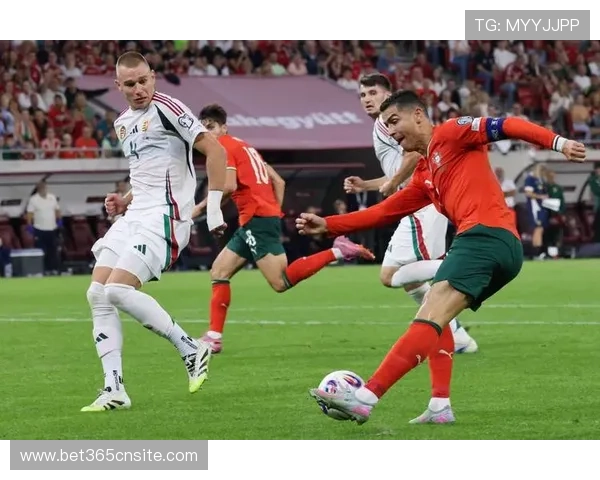 365足球娱乐官网入口,畅享每日精彩足球赛事尽在指尖 365足球娱乐官网入口,畅享每日精彩足球赛事尽在指尖