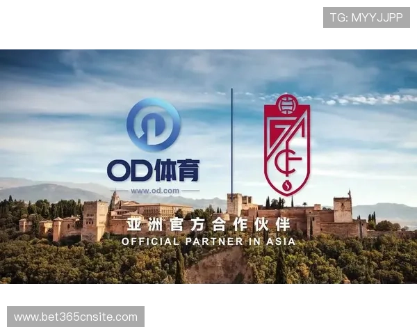 全面解析OD体育登陆流程及常见问题解决方案助你快速登录体验 全面解析OD体育登陆流程及常见问题解决方案助你快速登录体验